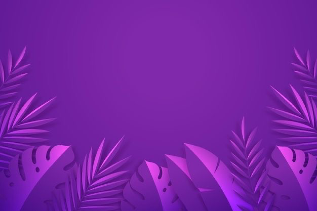 Banner do estabelecimento