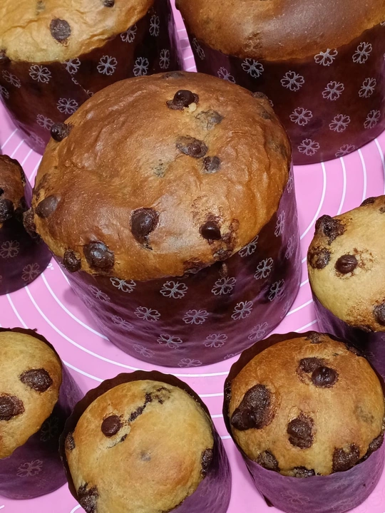 Chocotone ou Panetone