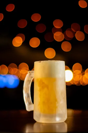 CHOPP ANTARCTICA