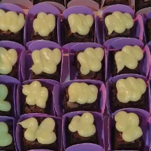 mini brownies de ninho