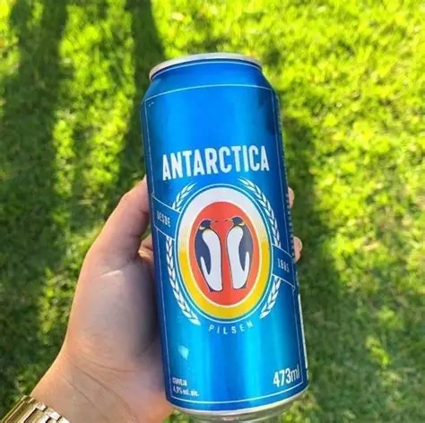 cerveja antartida 