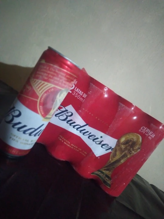 Pack BUDWEISER lata 350ml