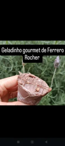 Ferreo Rocher 