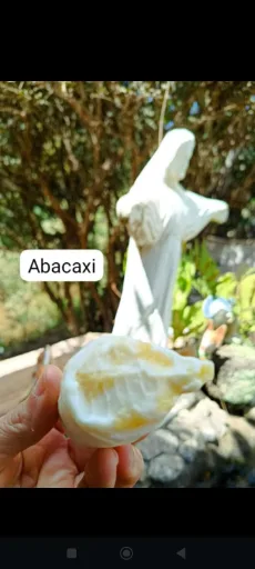 Abacaxi 