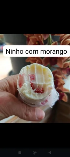 Ninho com morango 