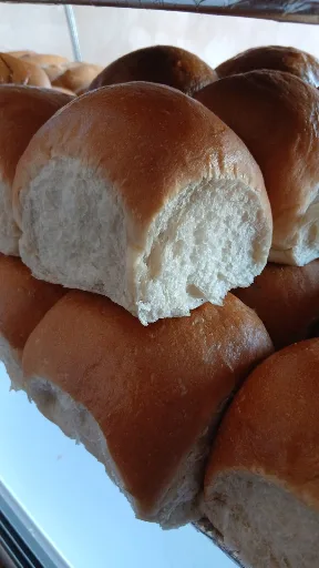 PÃO REDONDO