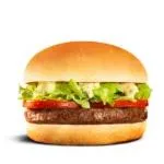 X-SALADA ESPECIAL