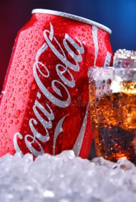 Coca-cola 310ml
