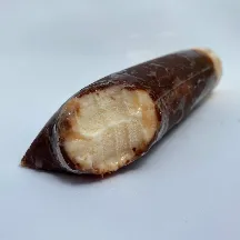 Chocolate Trufado